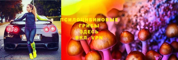 гидра Алексеевка