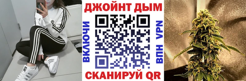 блэк спрут как зайти  Южно-Сухокумск  Марихуана сатива 